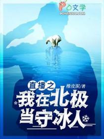 直播之我在北极当守冰人