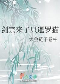 剑宗来了只暹罗猫