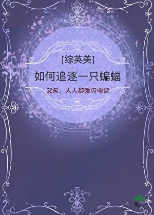 [综英美]如何追逐一只蝙蝠