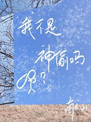 我不是神偷吗？