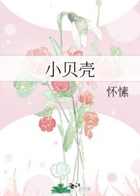 小贝壳