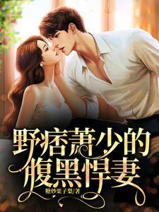 野痞萧少的腹黑悍妻